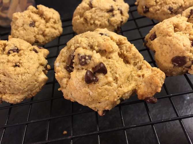 Butterless Chocolate Chip Cookie