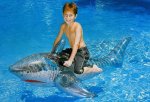 Shark Inflatable